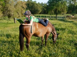 Erin-book-review-1111